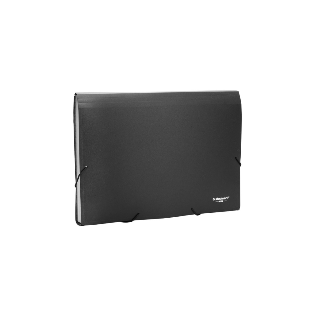 ACORDEON ST-00039 A4 13 DIV