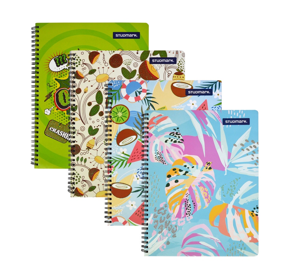 [04437] CUADERNO ST-BOOK-001 80HJS ESCARCHA 48x1