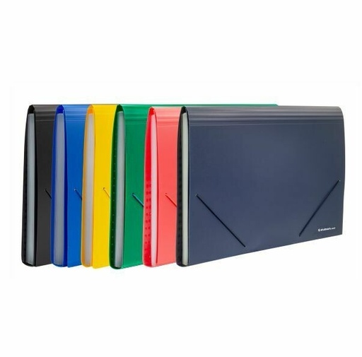 [04191] ACORDEON ST-00447 OF 13 DIV SURTIDO