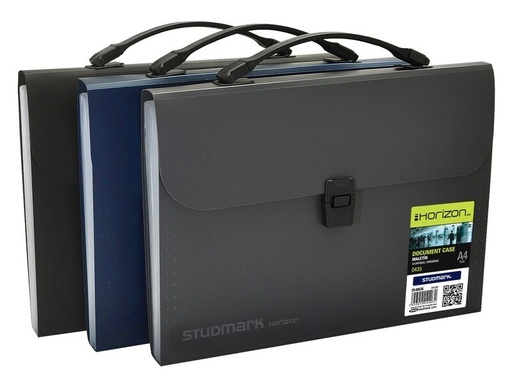 [03825           ] MALETIN ST00435 A4 13 DIV HOR                               