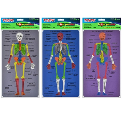 [02335] FOMI T031-D DIDACTICO ESQUELETO